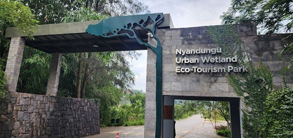 Yandungu urban wetland eco park nyandungu park